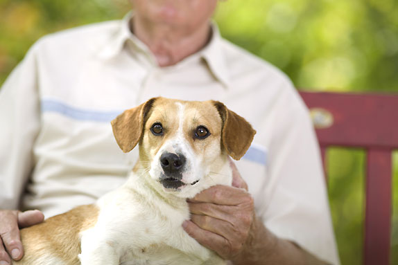 Les animaux : de fameux thérapeutes ! Les animaux : de fameux thérapeutes !